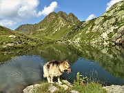 80 Bello il laghetto di Verrobbio